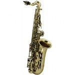 Roy Benson RBAS-201 Eb Children's Alto Saxophone